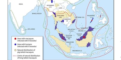 Kat jeyografik nan malezi malarya